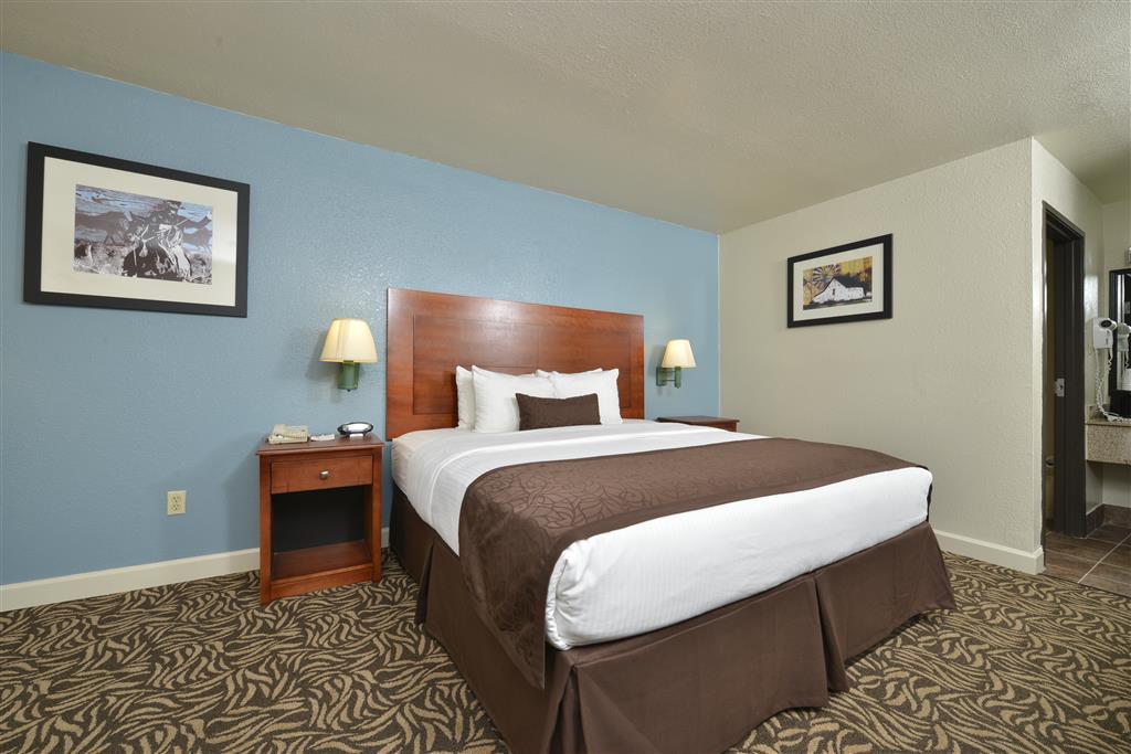 Best Western Regency Inn & Suites Gonzales Room photo