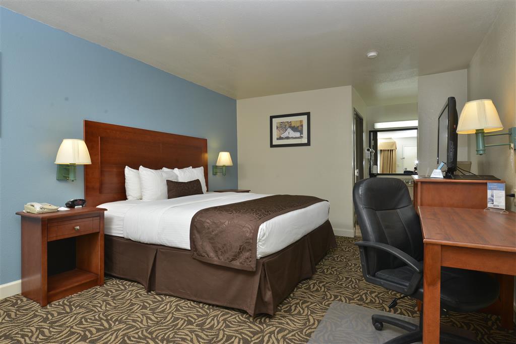 Best Western Regency Inn & Suites Gonzales Room photo