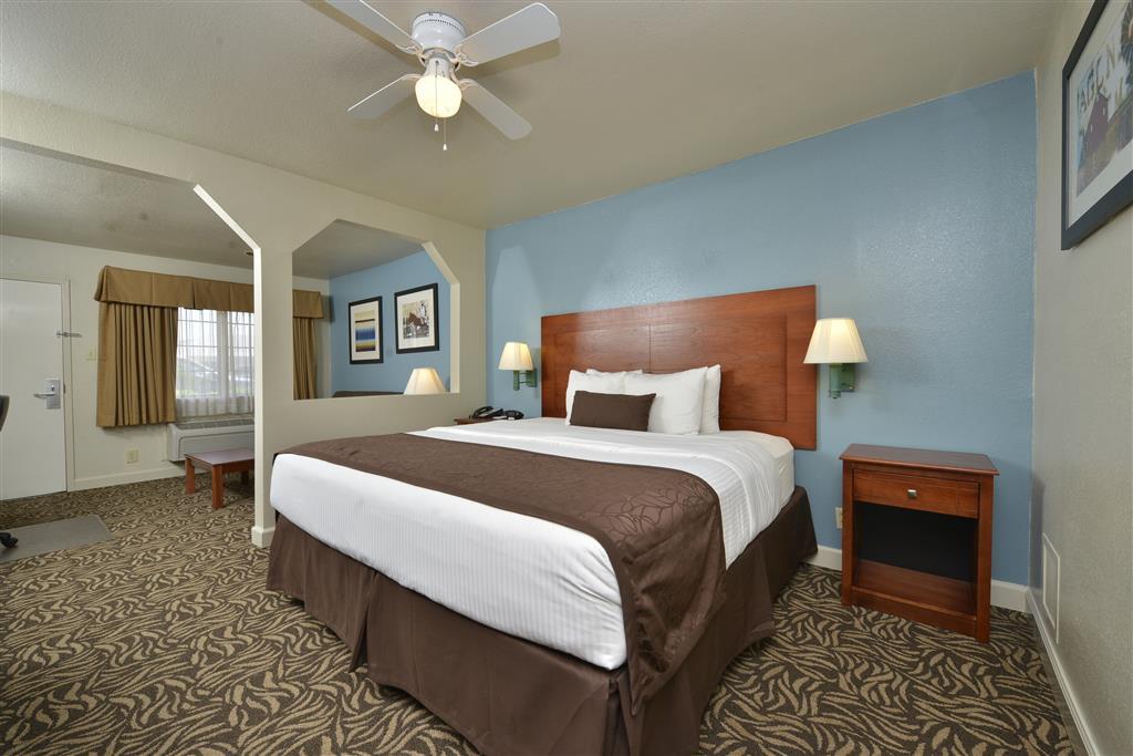 Best Western Regency Inn & Suites Gonzales Room photo